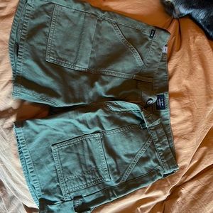 Citizens of Humanity Shorts